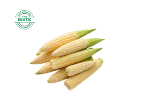 Baby Corn - Exotic
